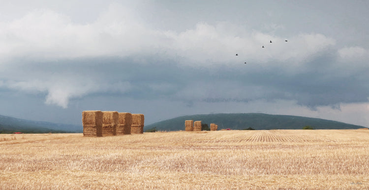 Stormy Day Harvest I