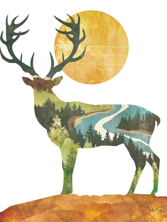 Forest Deer Canvas Print