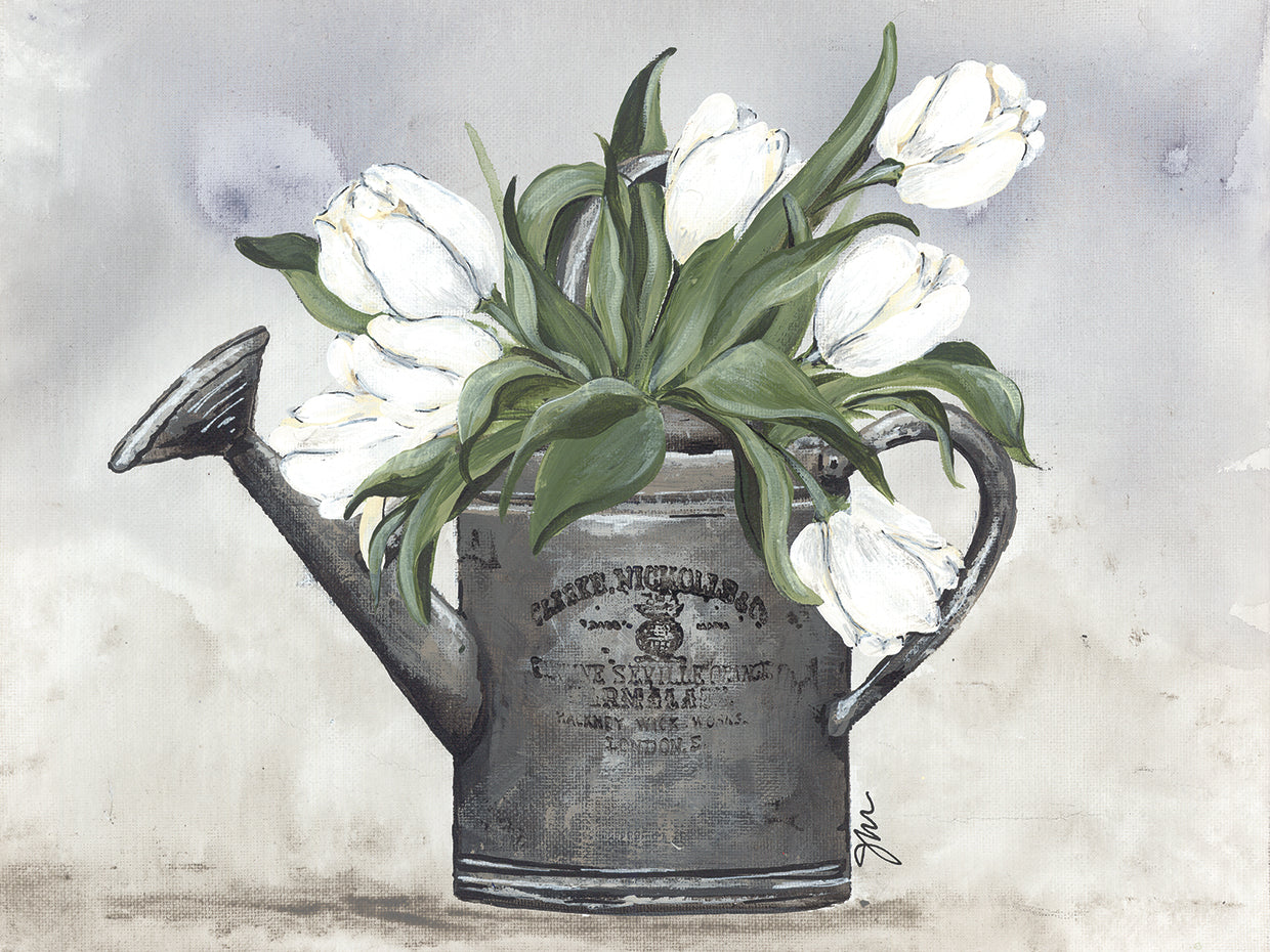 Watering Can Tulips