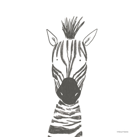 Zebra Line Drawing Canvas Print