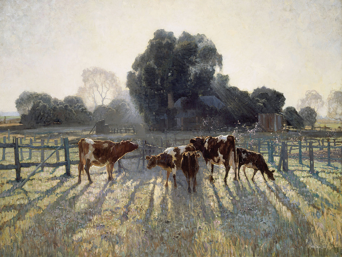 Grazing Cows