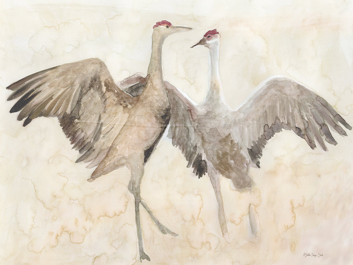 Sandhill Cranes 1