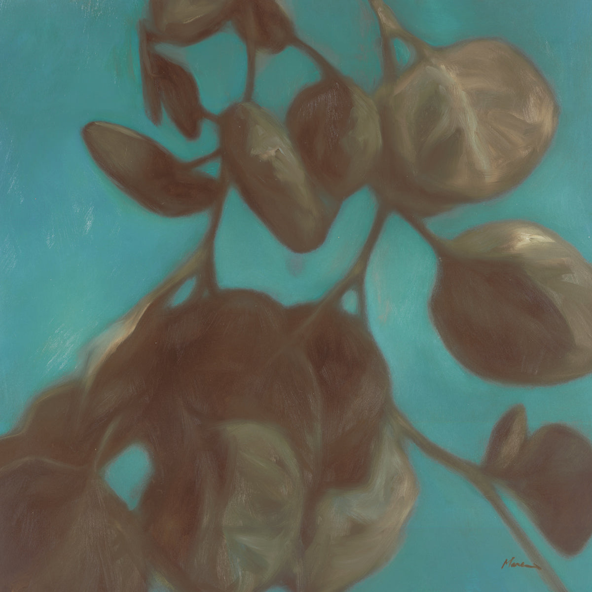 EUCALYPTUS III