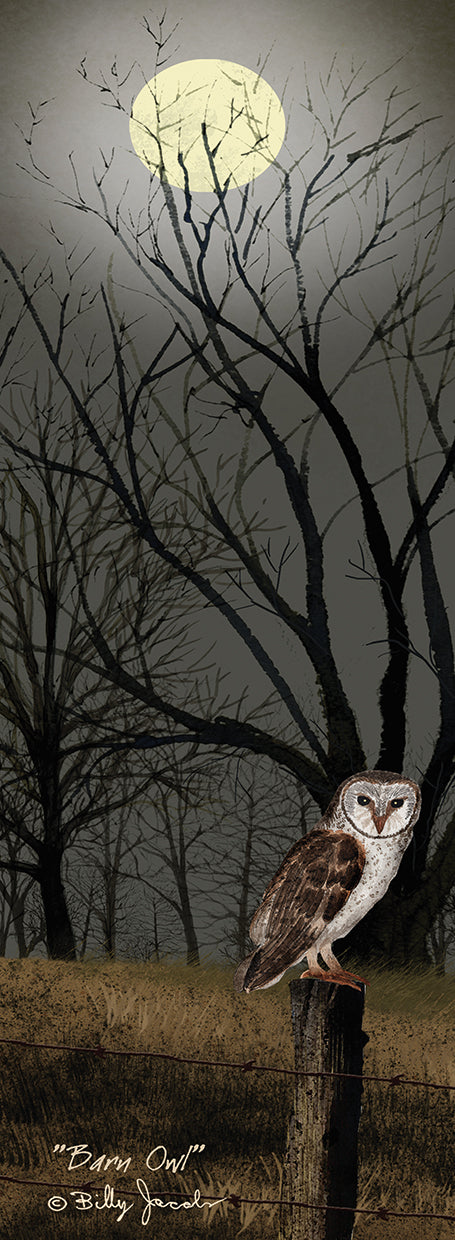 Barn Owl