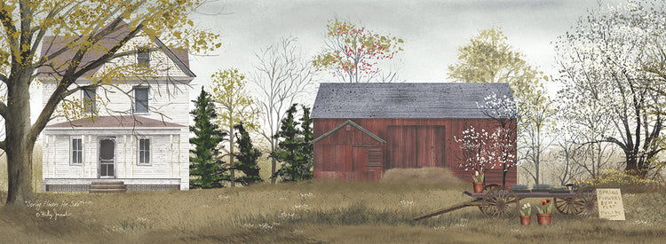 Spring Flowers for Sale