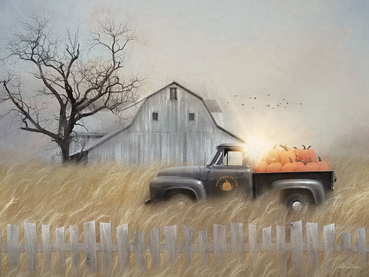 Fall Pumpkin Harvest