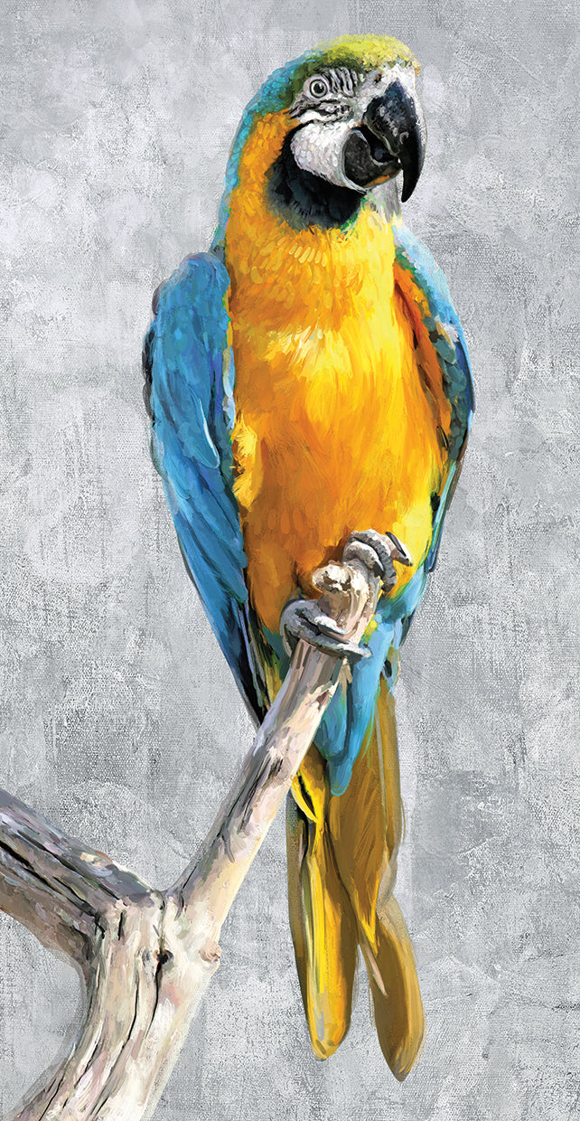 tropical-parrots-i-studio-arts