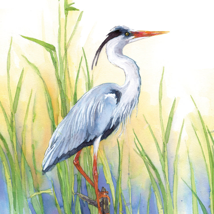 Great Blue Heron Square 2