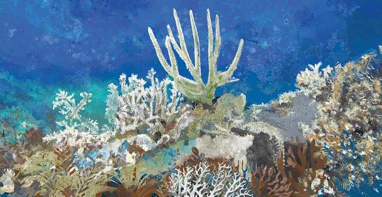 Coral Reef