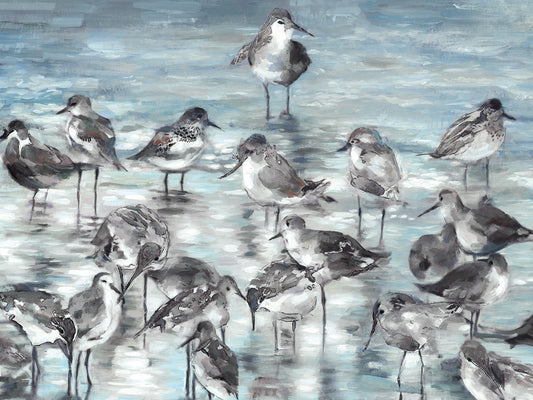Shore Birds Canvas Print