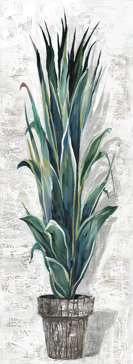 Cactus Profile II Light Canvas Print