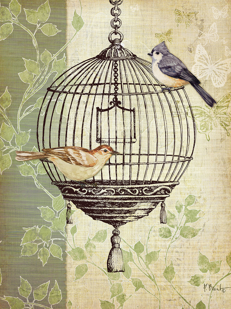 Botanical Birdcage I