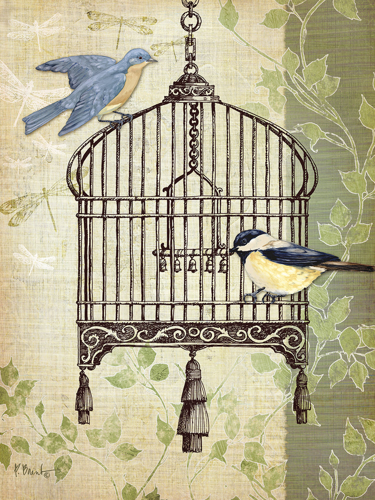 Botanical Birdcage II