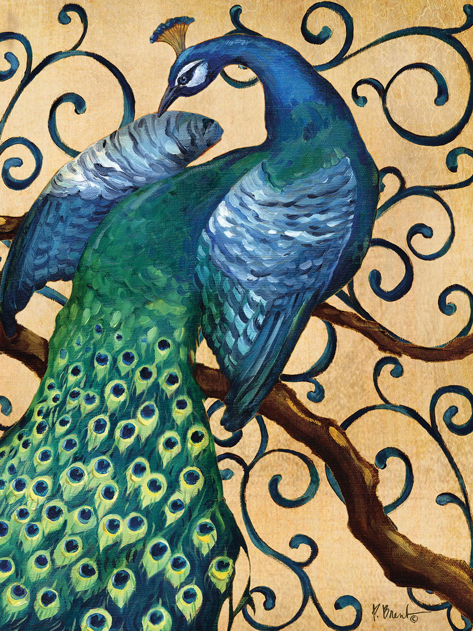 Majestic Peacock II