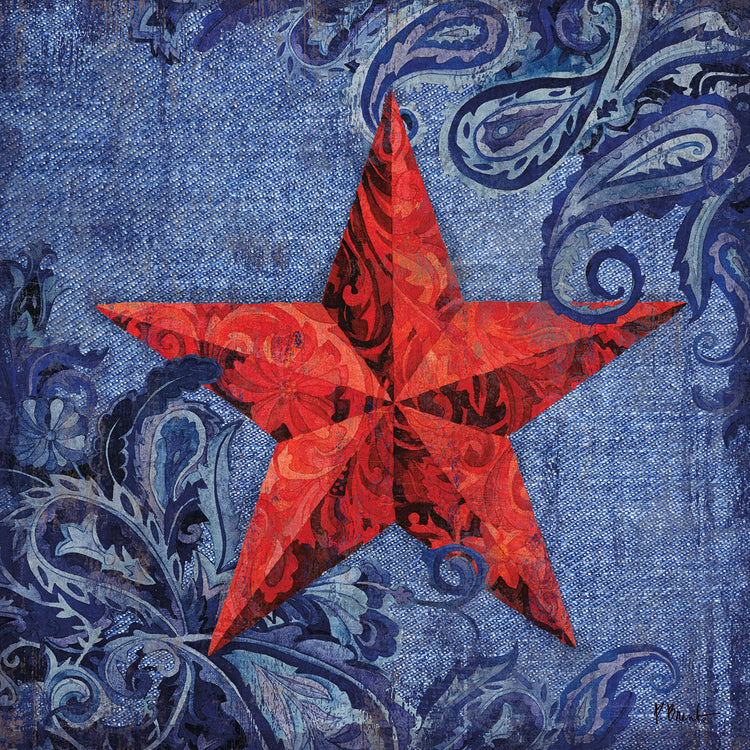 Paisley Barn Star