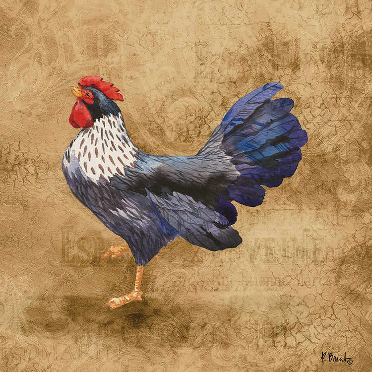 Gallo de campo francés V Lienzo
