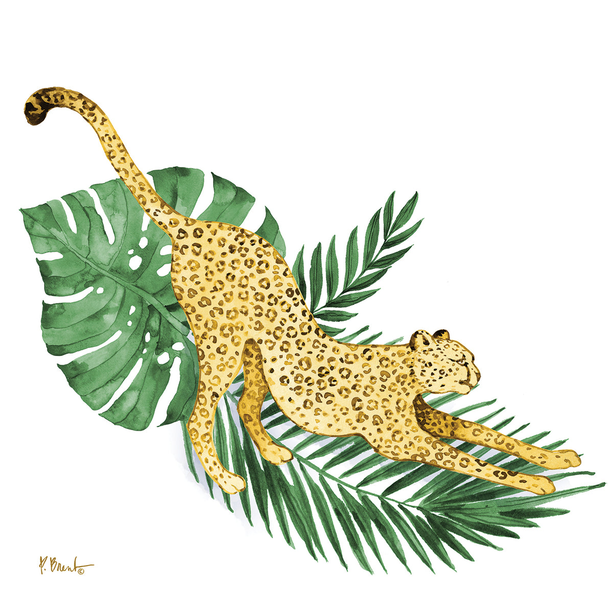 Wildcat Palms I