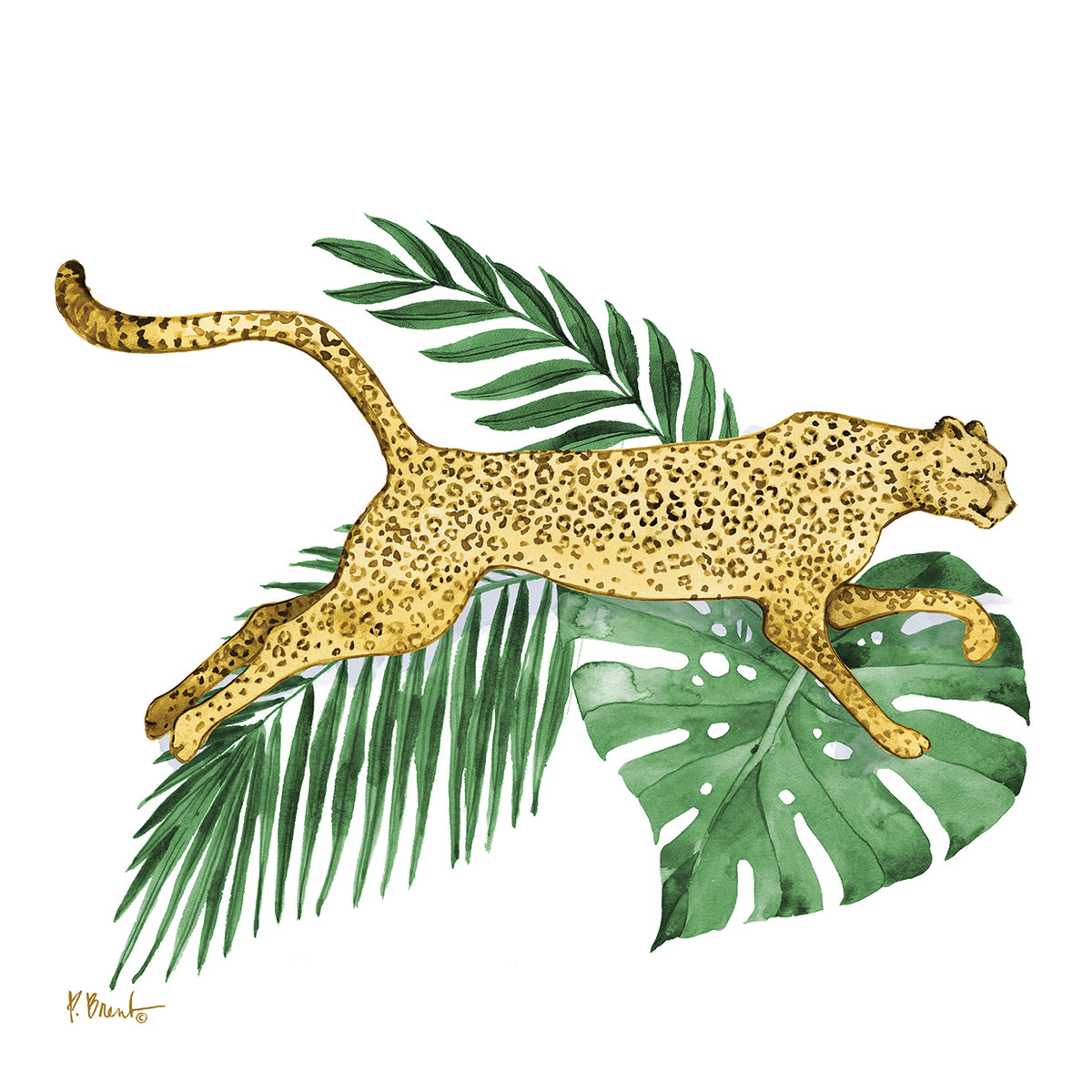 Wildcat Palms III