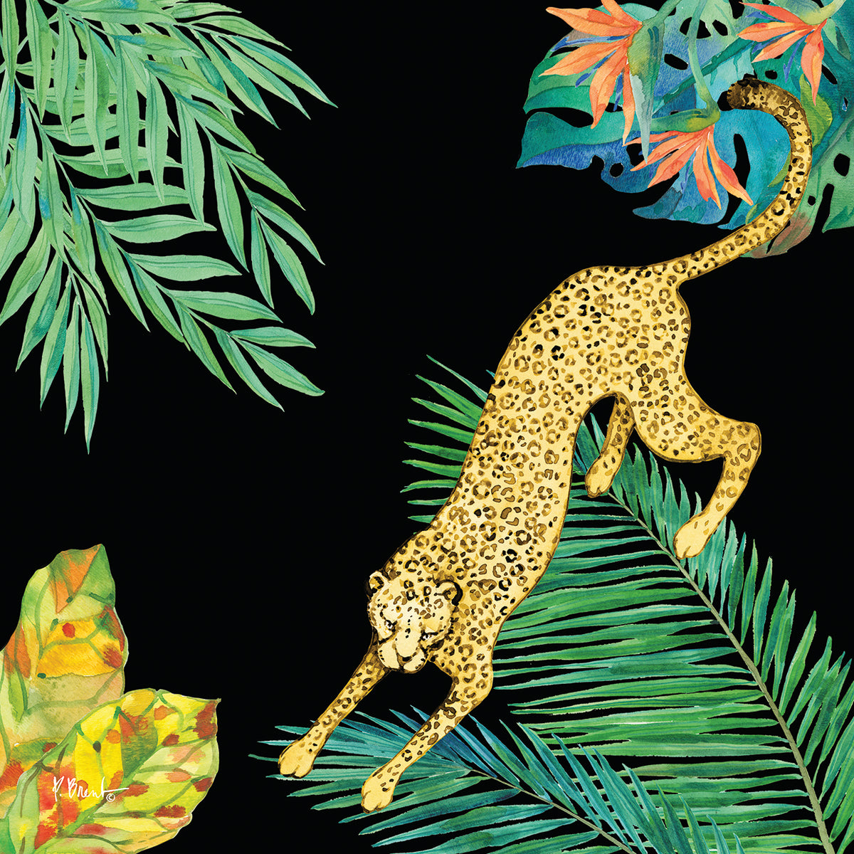 Wildcat Jungle IV