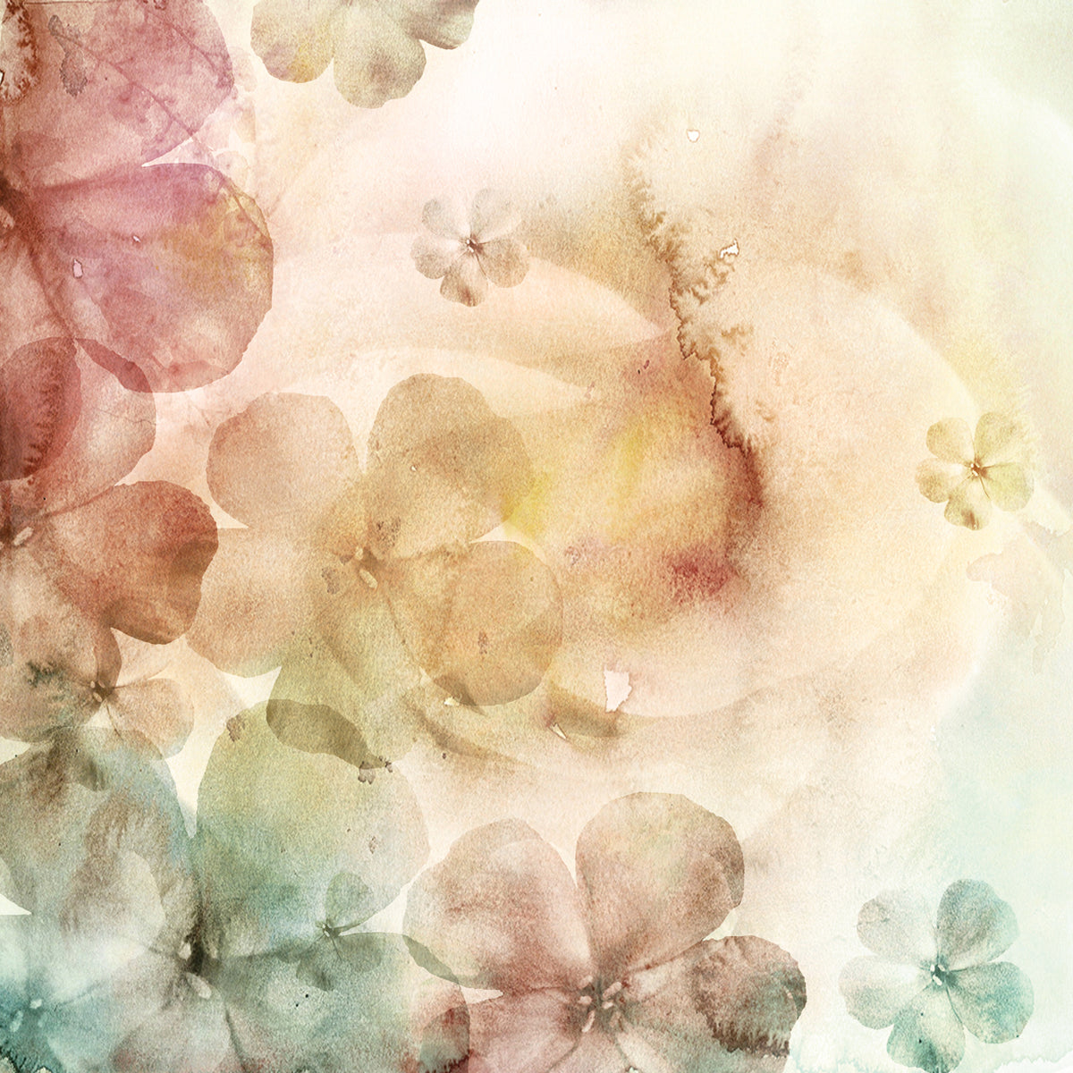 Flowers in Red Watercolor