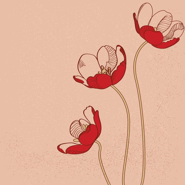 Red Tulips Vector Art