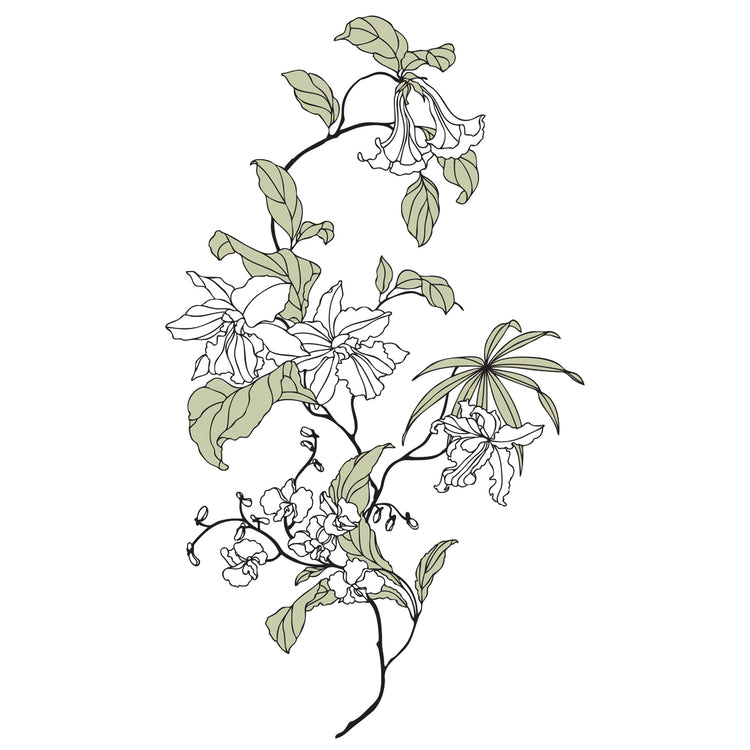 Flowers Illustration