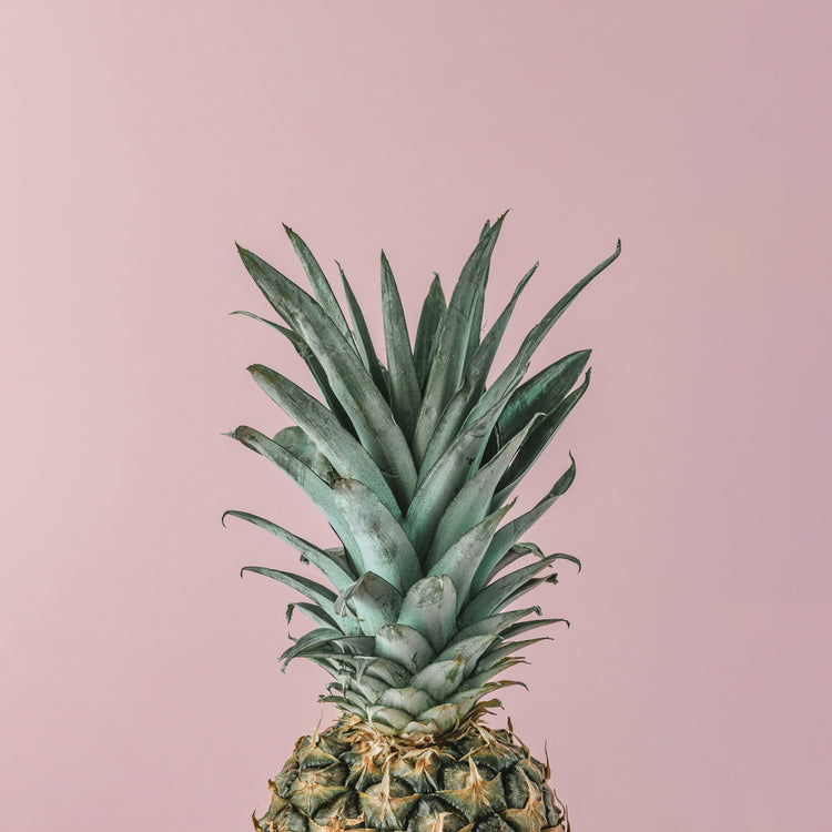 Pineapple on Pink Pastel