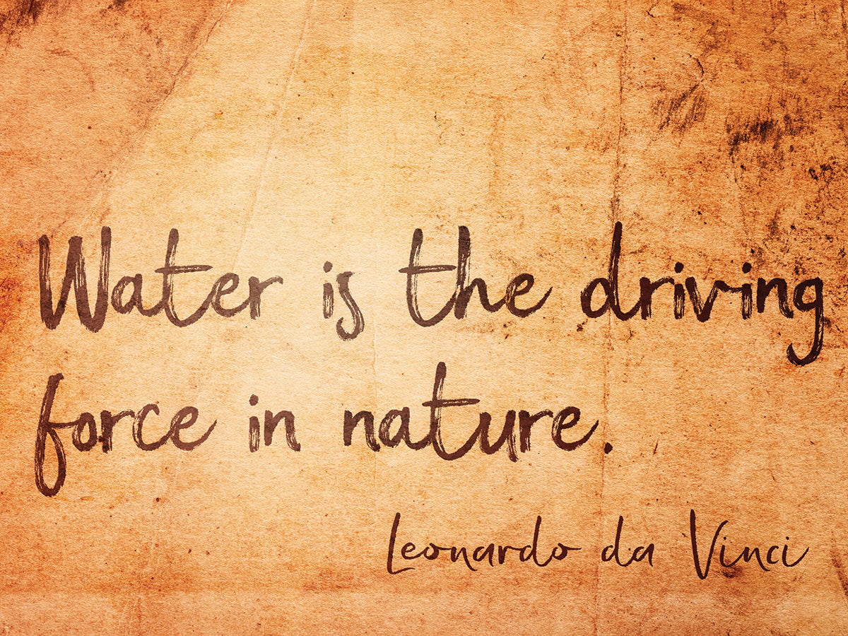 Driving Force of Nature