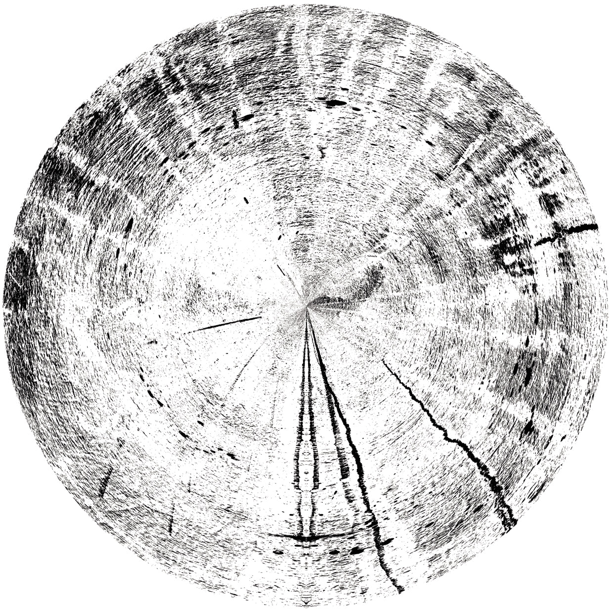 Black and White Wooden Pattern 1