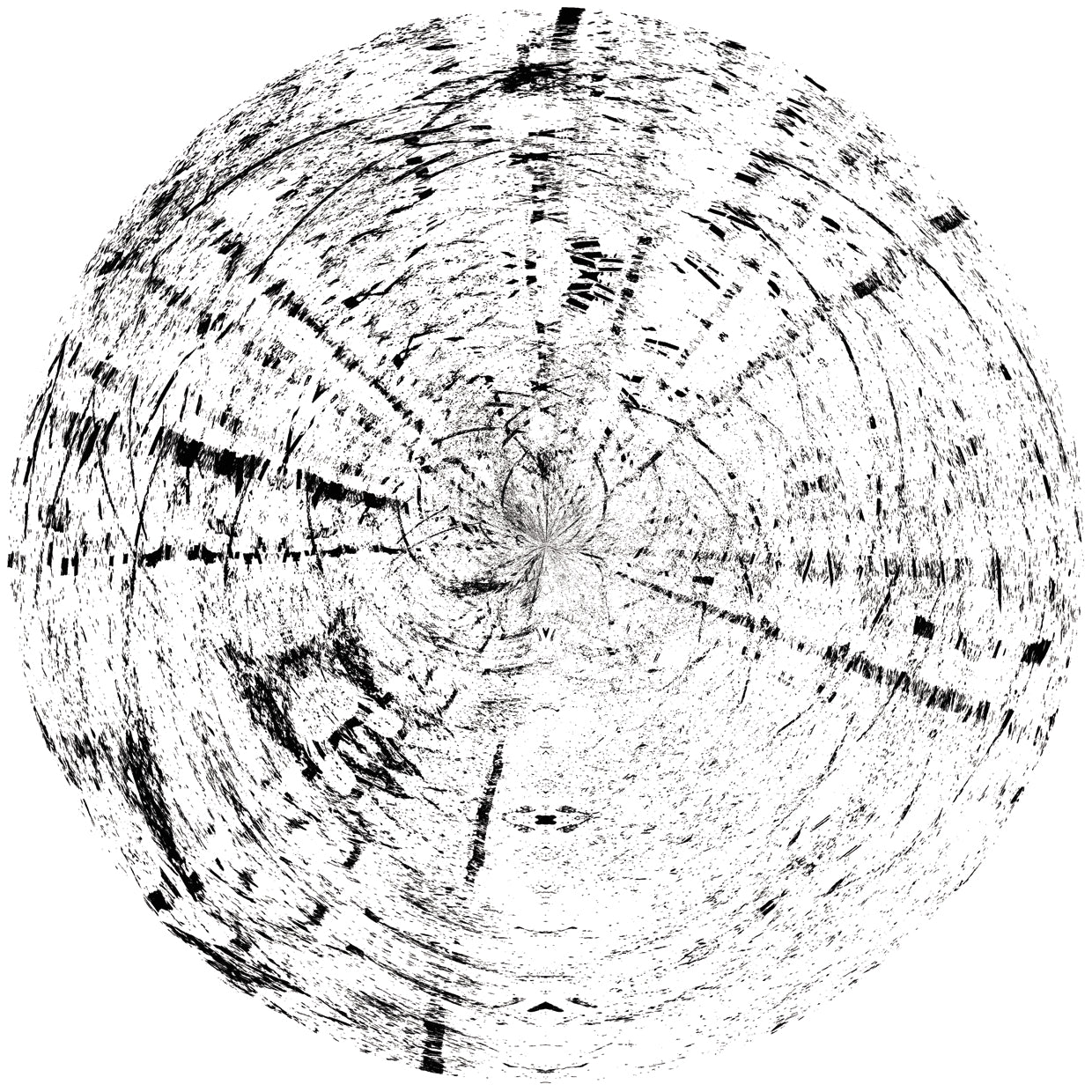 Black and White Wooden Pattern 2