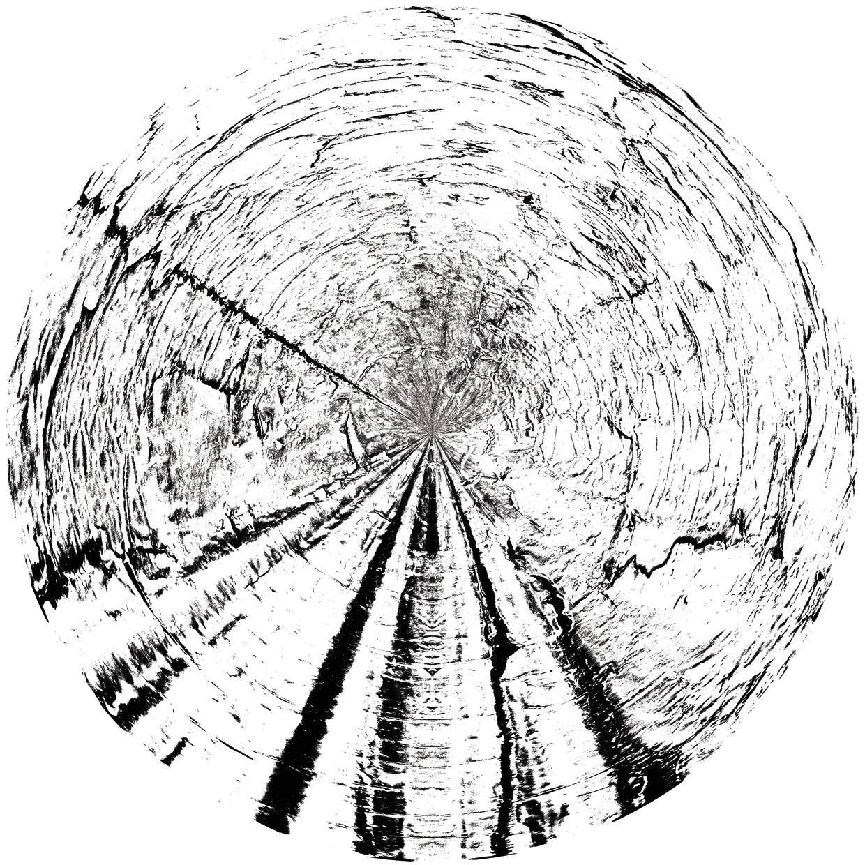 Black and White Wooden Pattern 3