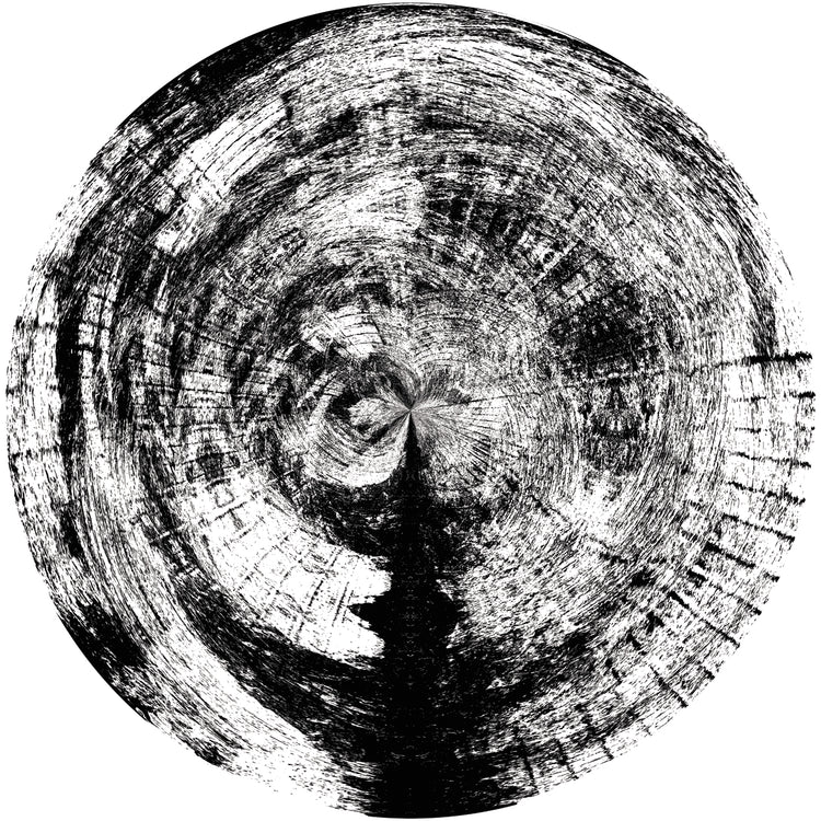 Black and White Wooden Pattern 4