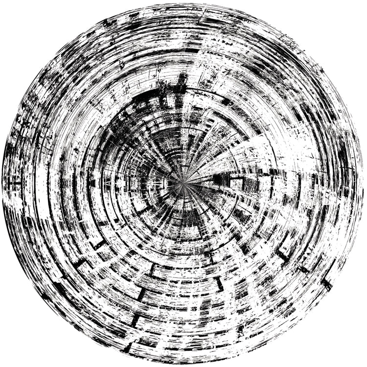 Patrón de madera en blanco y negro 5 Lienzo
