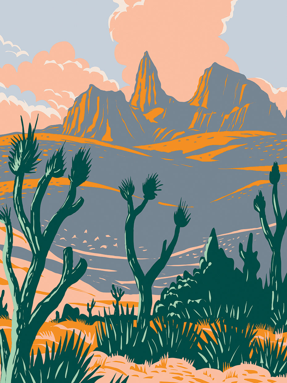 Abstract Look at Joshua Tree