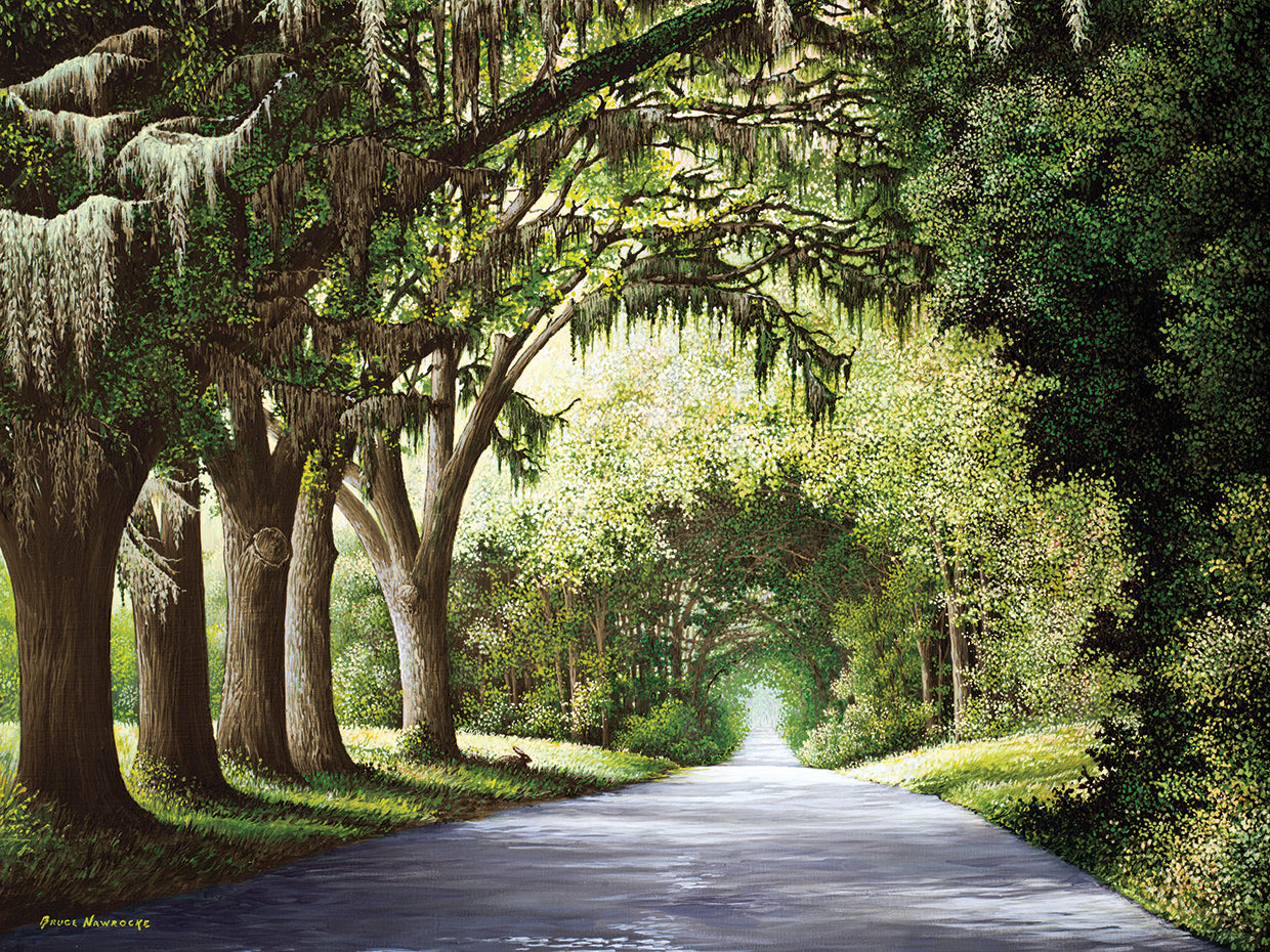 Down The Rabbit Hole