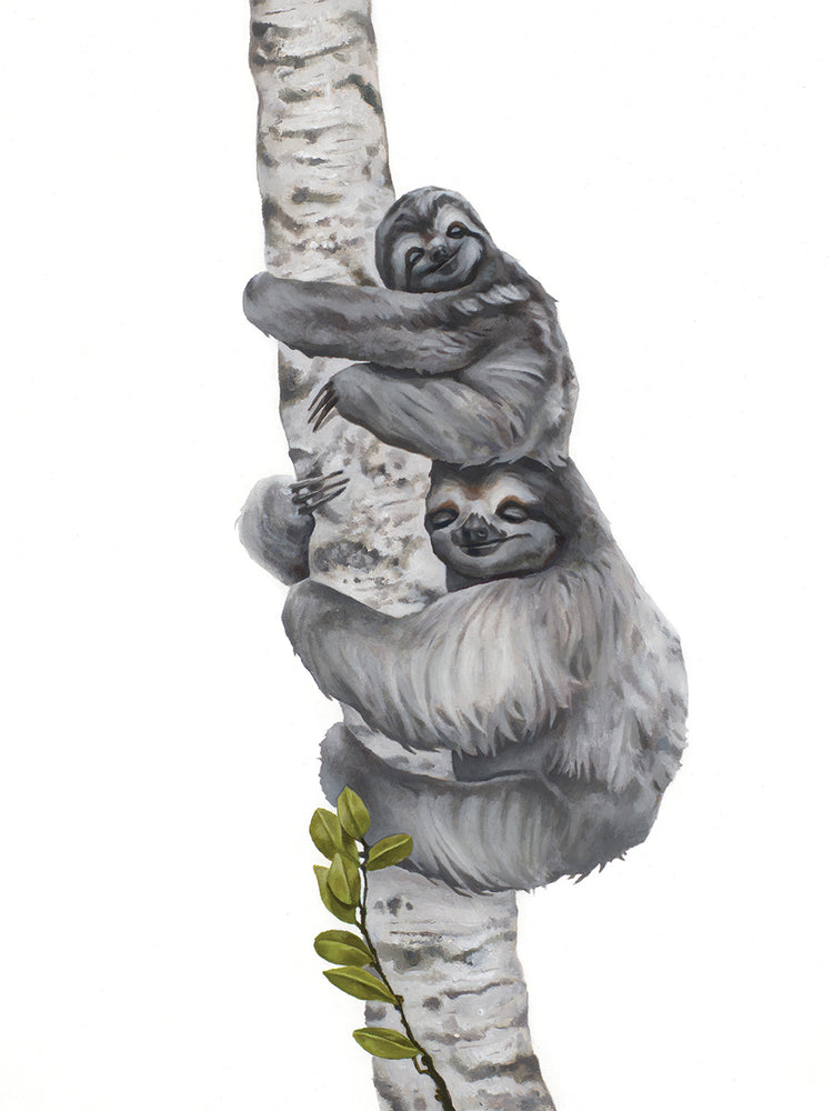 Sleepy Sloths