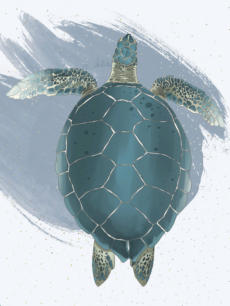 Sea Turtle