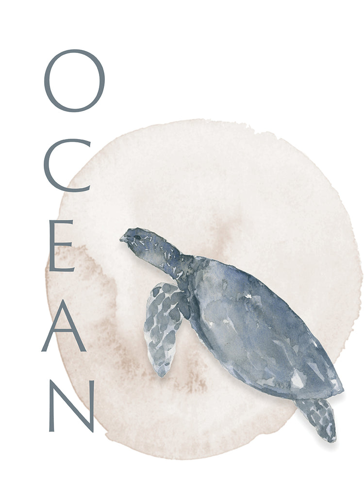 Ocean Turtle