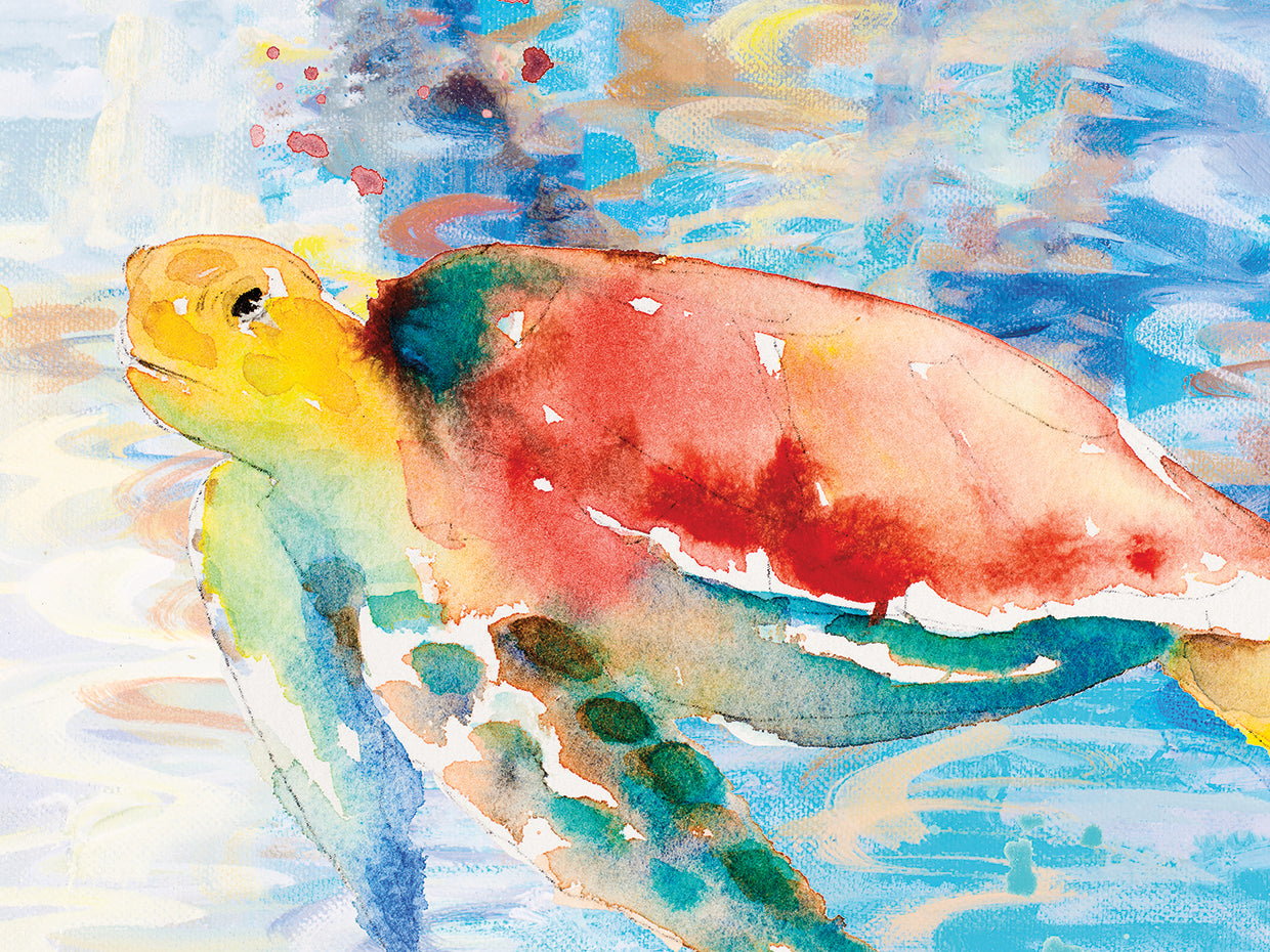 Turtle Passing Through II