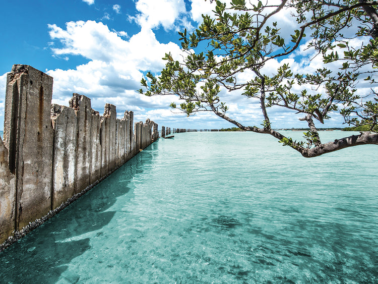 Crystal Clear Paradise