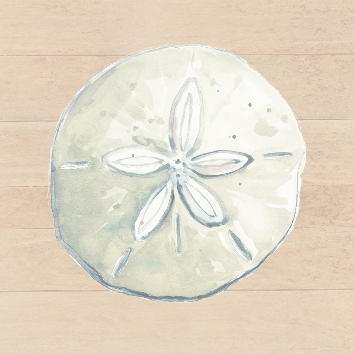 Sand Dollar On Wood