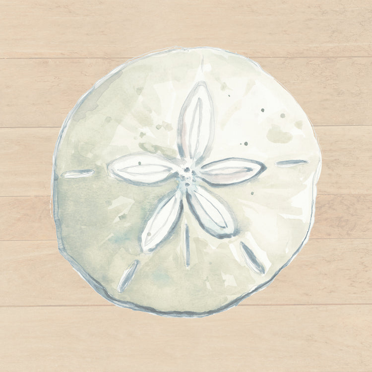 Sand Dollar On Wood