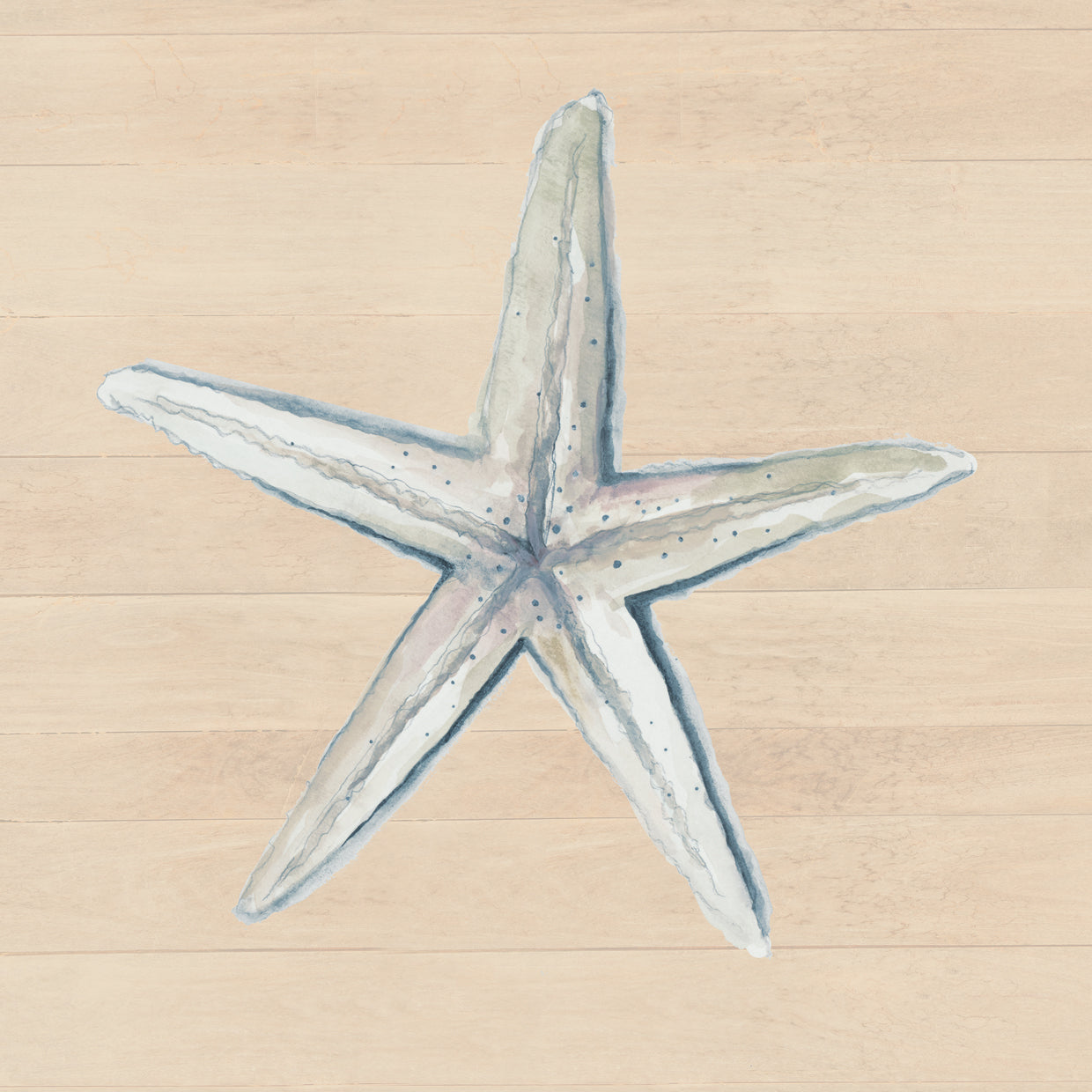Starfish On Wood