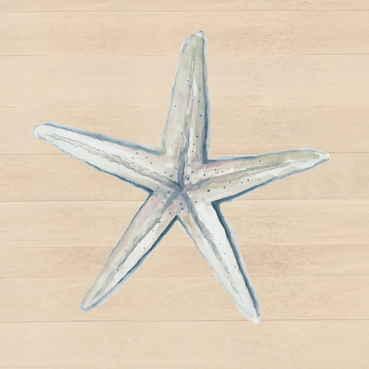 Starfish On Wood