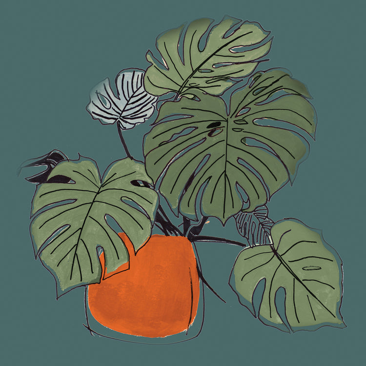 The Retro Pot On Teal II