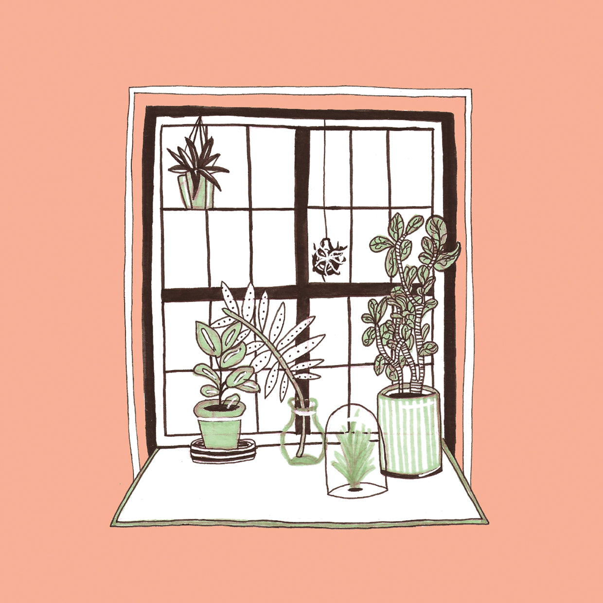 Peach Indoor Garden