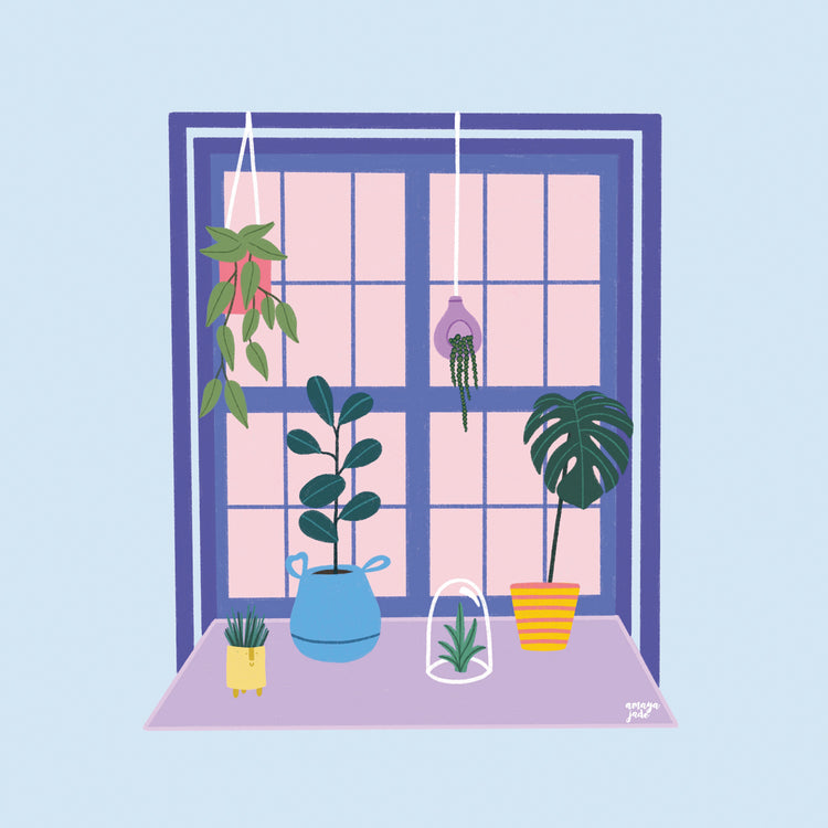 Blue Indoor Garden