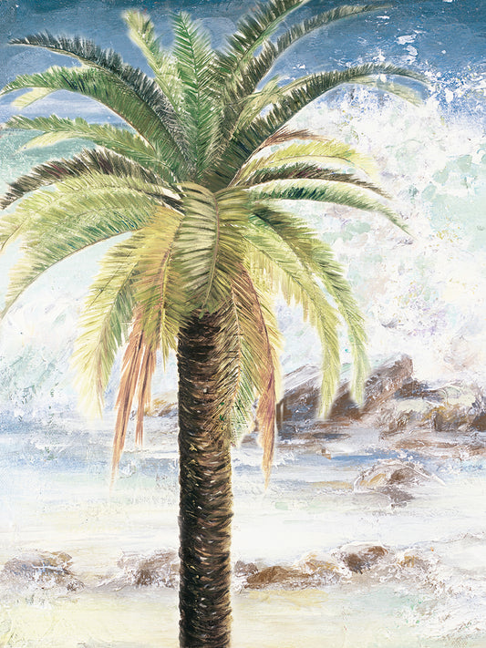 Coastal Palms II Canvas Print