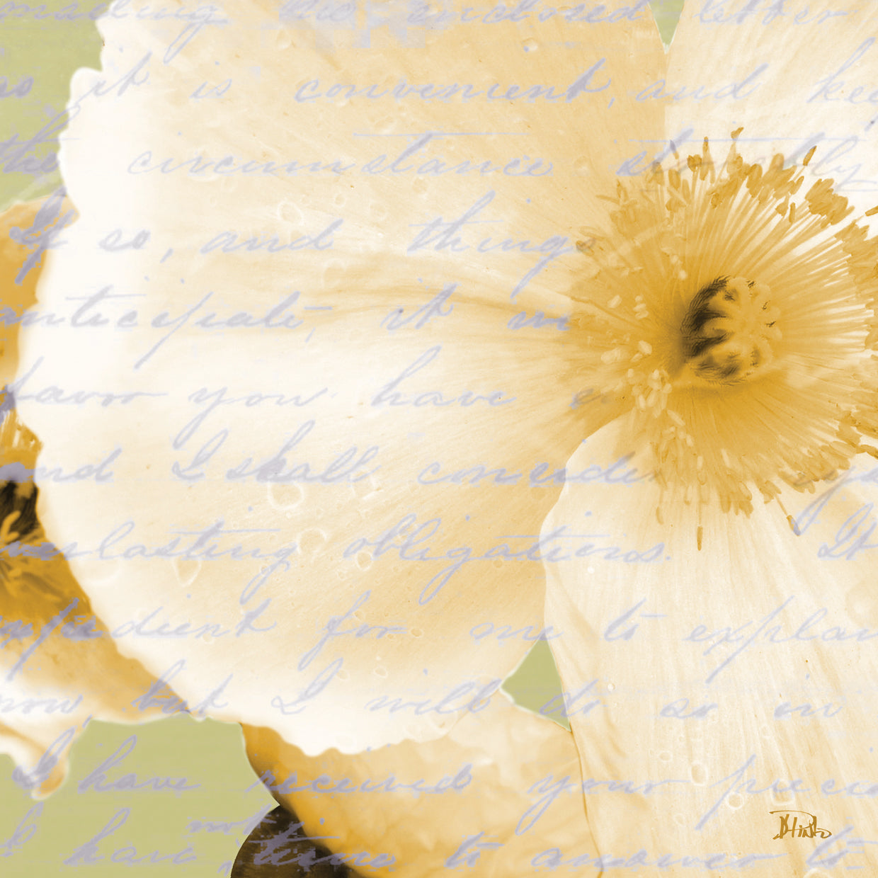 Written In The Wind II