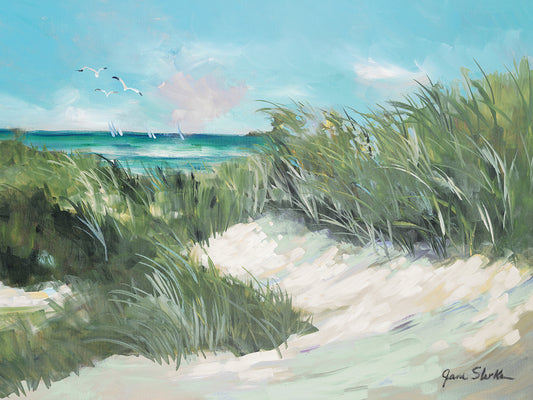 Beach Coast Grass Canvas Print